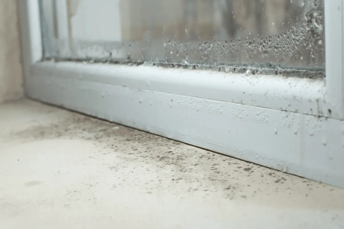 Mould growth along a bathroom window sill before professional remediation begins.
