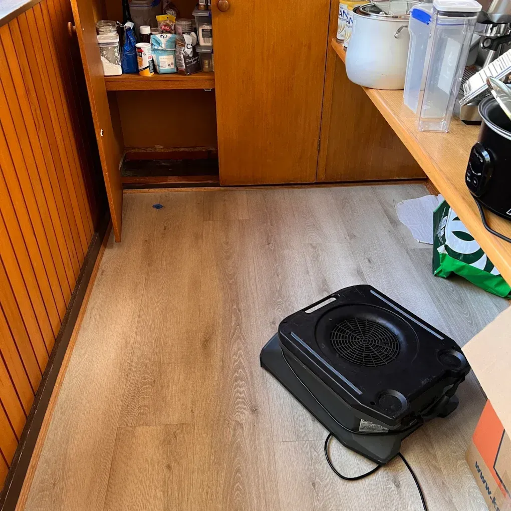 Air mover drying timber subfloor to remove trapped moisture and prevent mould.