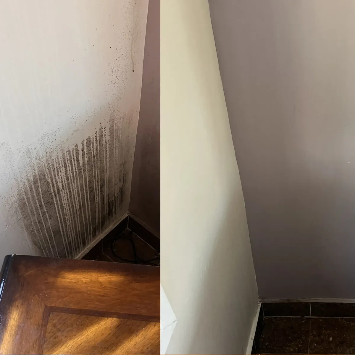 Clean Wall After Mould Treatment