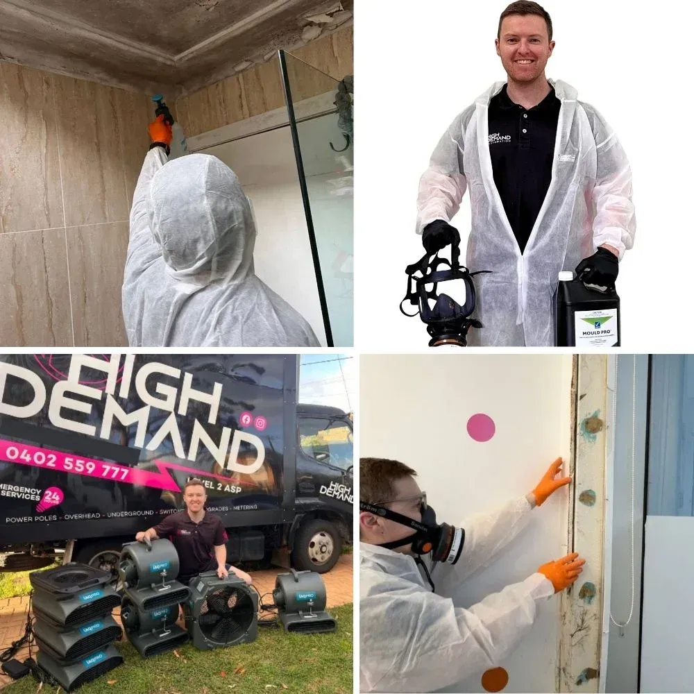 Professional restoration team performing mould remediation and water damage repairs in Sydney.