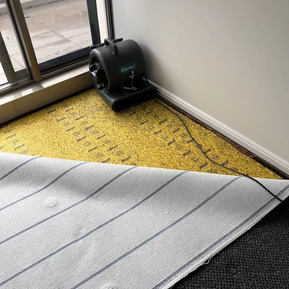 Fan Drying Wet Carpet