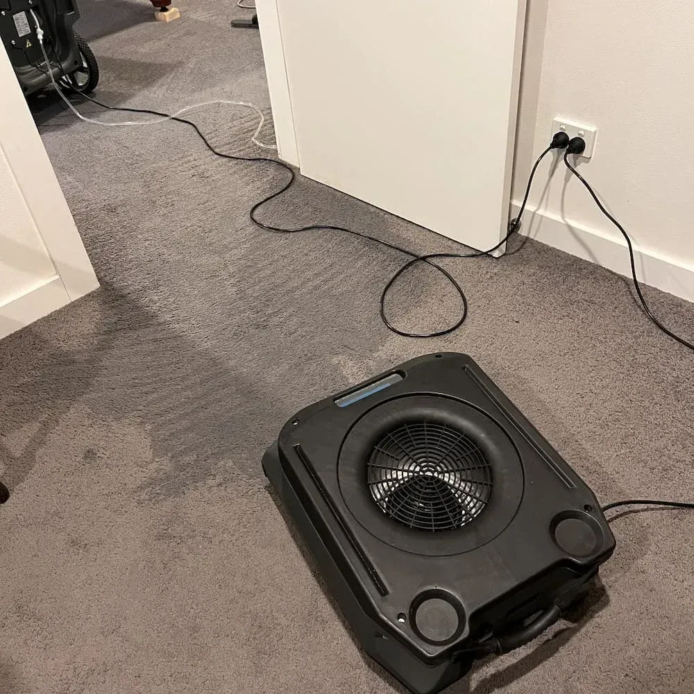 Airmover Drying Wet Carpet