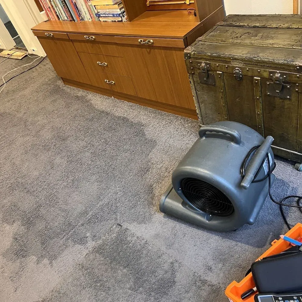 Wet carpet being dried