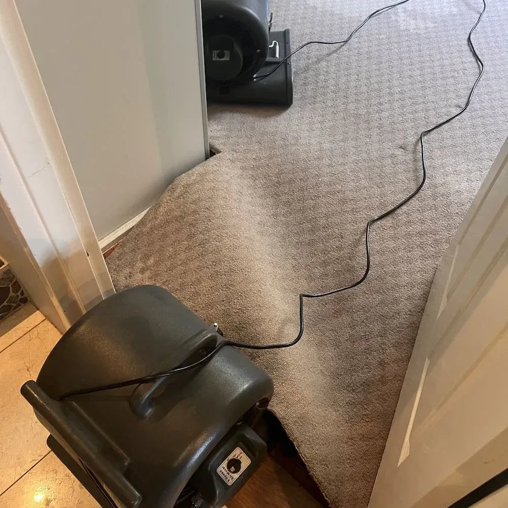 Air movers drying wet carpet in a hallway after water damage.