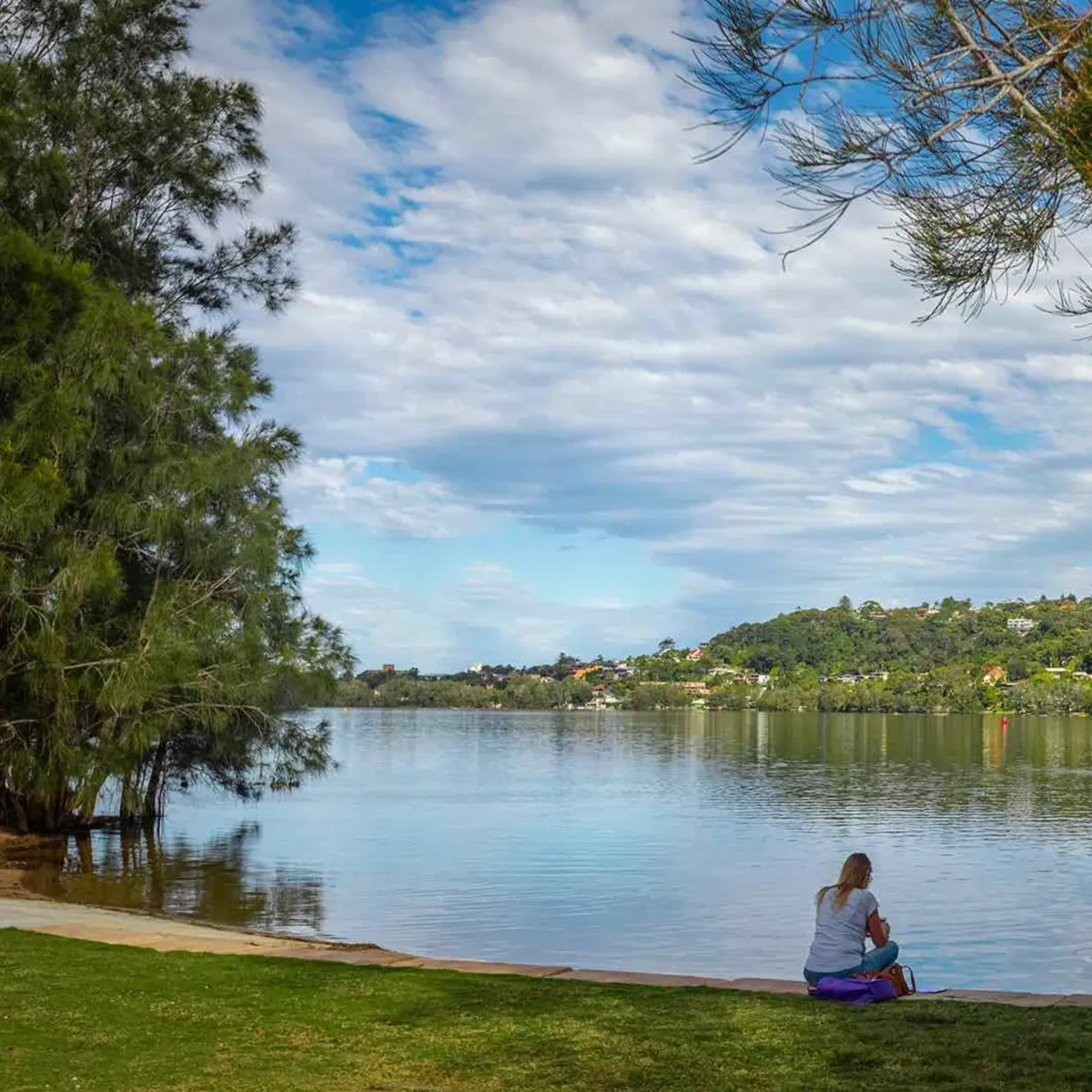 Calm view of Dee Why Lagoon surrounded by greenery, representing High Demand Restoration’s local flood and water damage services for the Dee Why and Northern Beaches community.