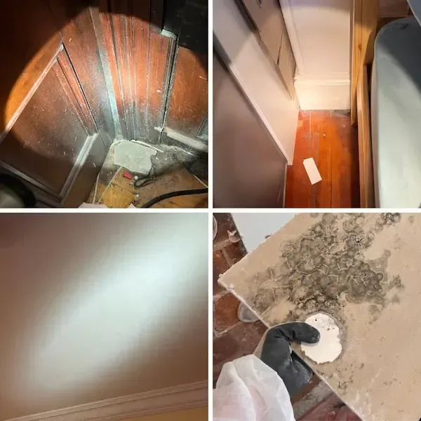 Mould Covered Wall Before Treatment