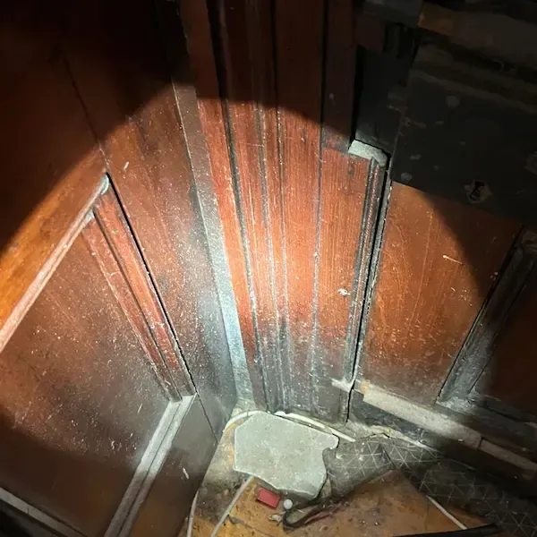 Mould Covered Wall Before Treatment