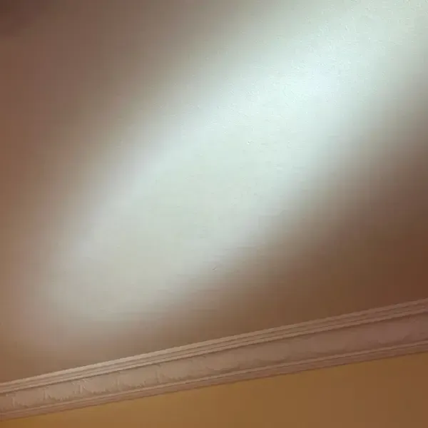 Mould Behind Bedside Table Before Treatment