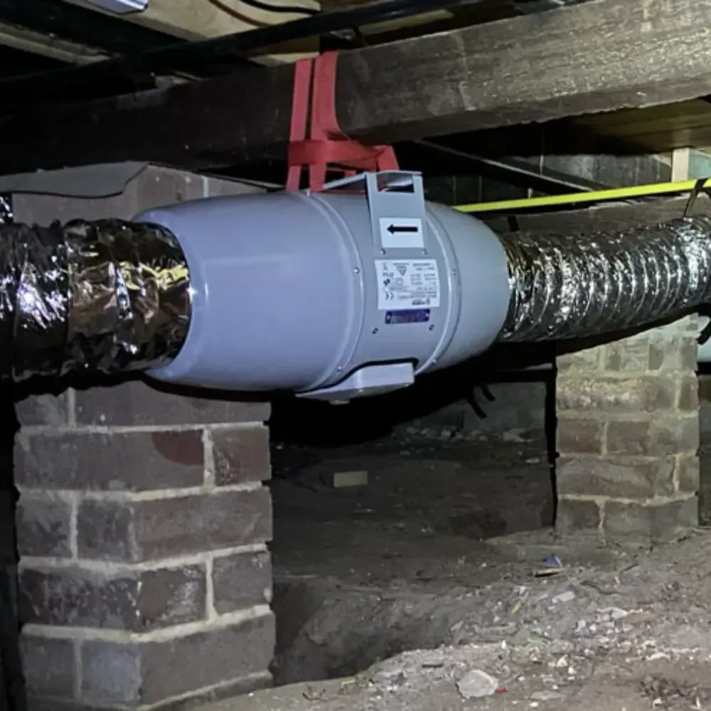 Technician using fogging machine to treat mould and disinfect surfaces.