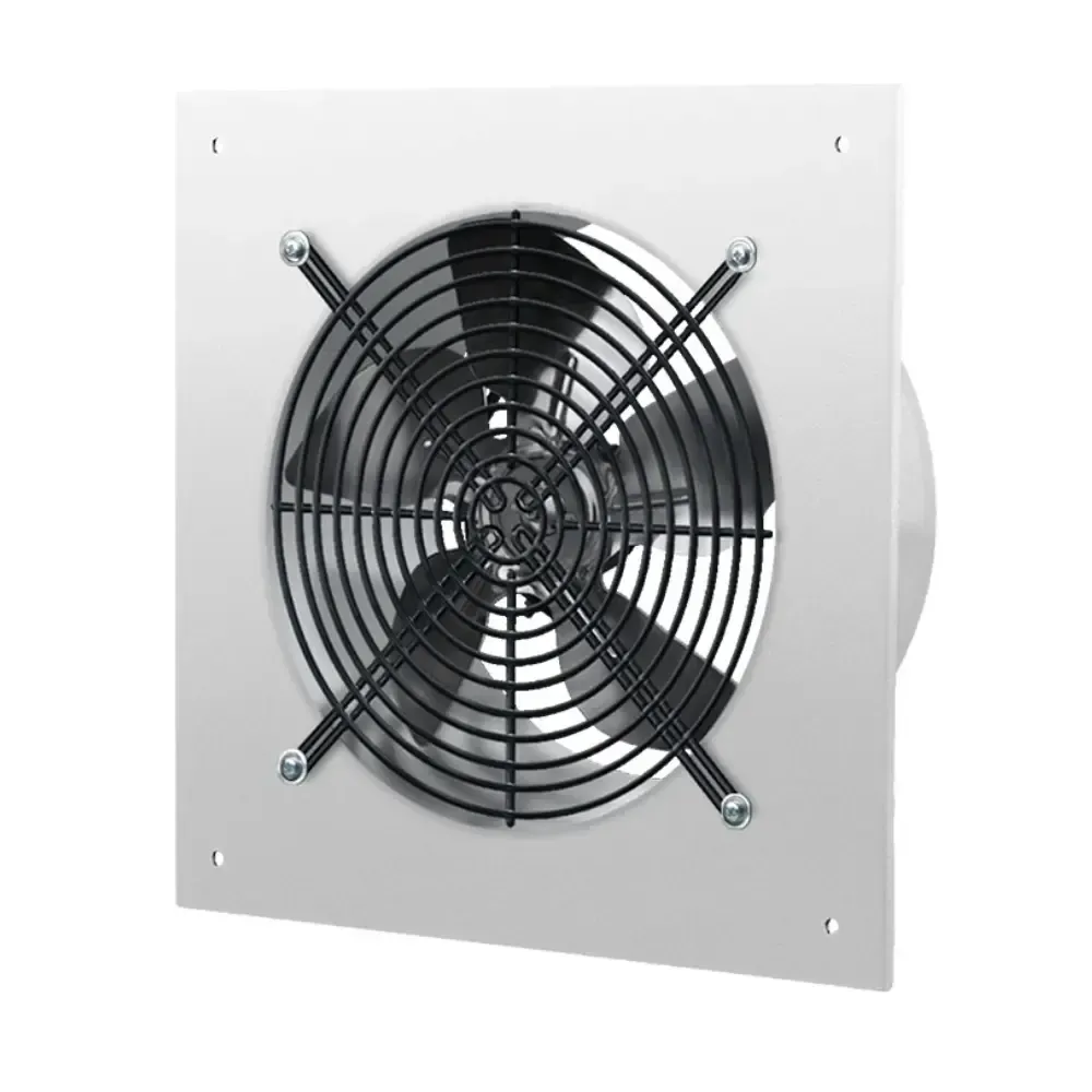 Technician using spray applicator for chemical mould treatment on wall.