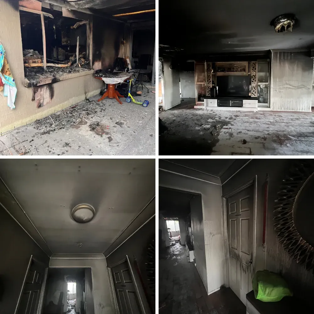 Technician using spray applicator for chemical mould treatment on wall.