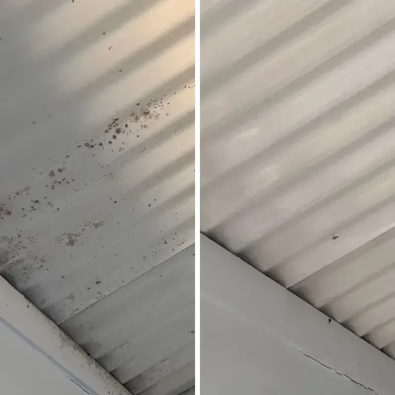 Clean Wall After Mould Treatment