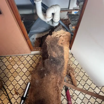 Mould and Water Damage to Kitchen Cabinetry in Bondi NSW