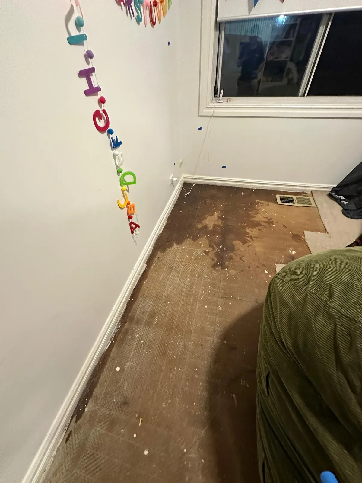 Hidden Water Damage and Mould After a Leak in Caringbah South, NSW