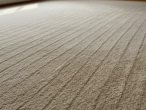 Carpet Steam Cleaning Camden County, NJ