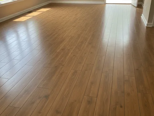 Carpet Steam Cleaning Camden County, NJ