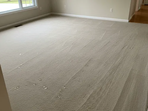 Tile/Grout Cleaning Camden County, NJ