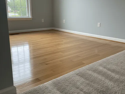 Upholstery Cleaning 
