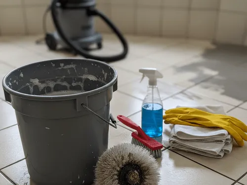 Carpet Steam Cleaning