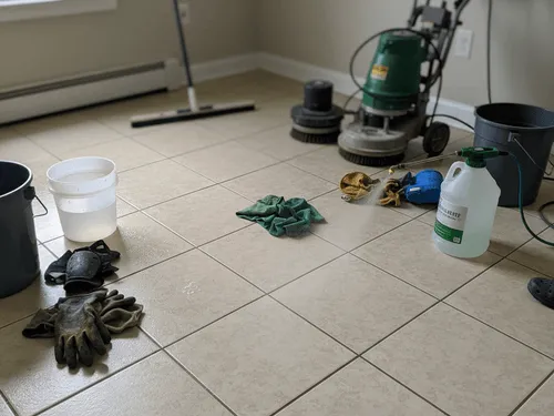 Carpet Steam Cleaning