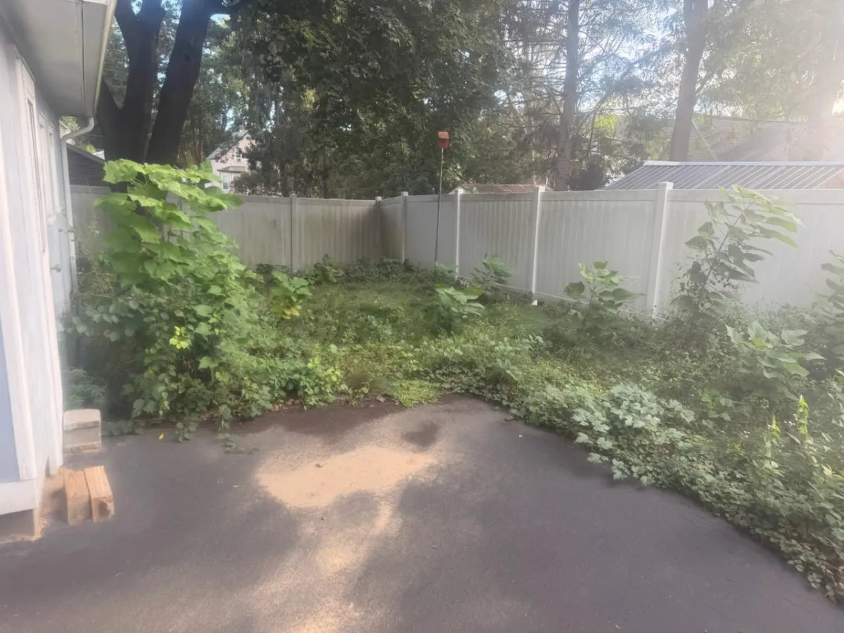 spring & fall cleanups