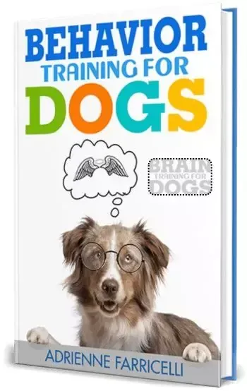 Brain Training For Dogs Bonus