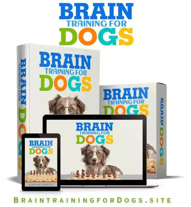 Brain Training For Dogs Buy 