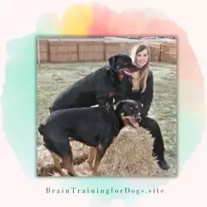 Brain Training for dogs Creator