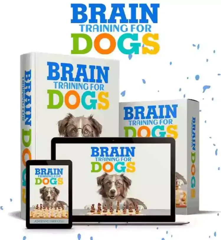 Brain Training for dogs