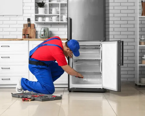 {{ custom_values.service_1 }} in {{custom_values.biz_area_1})