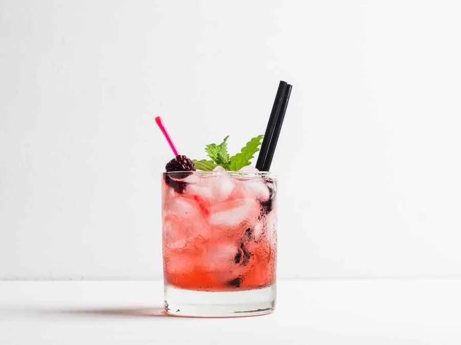 A blueberry mint signature cocktail made by the Booze Buddies mobile bartending team