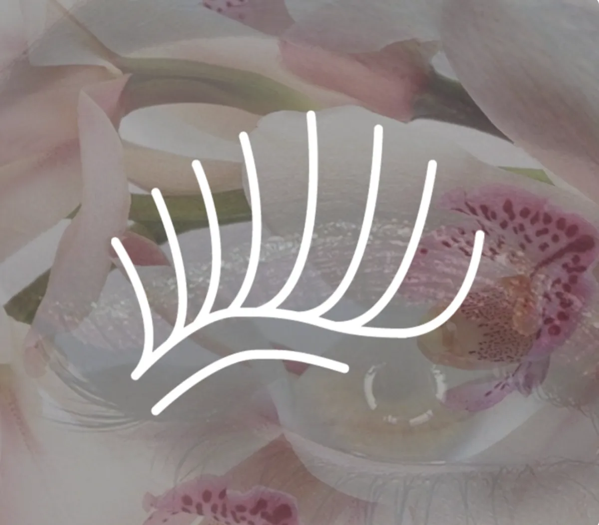 Lash Removal in Bensalem, PA by Sorella Beauty Studio