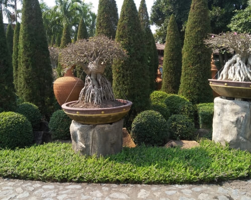 Hedge Trimming in Altona