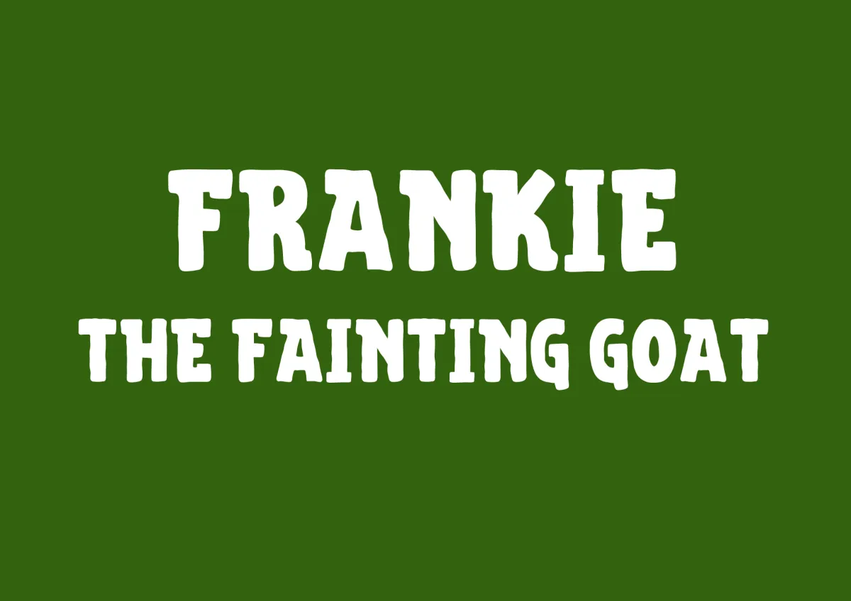 Frankie The Fainting Goat