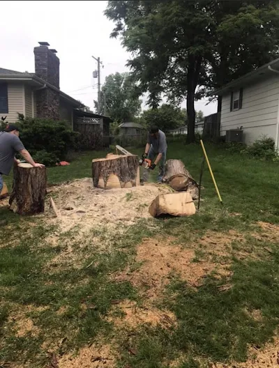 Tree Removal and Emergency Tree Services