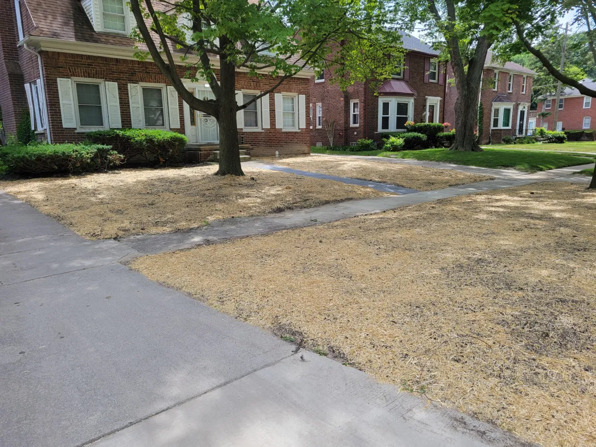 After Landscaping Design/Installation n the front yard of a brick home in Dearborn, MI 