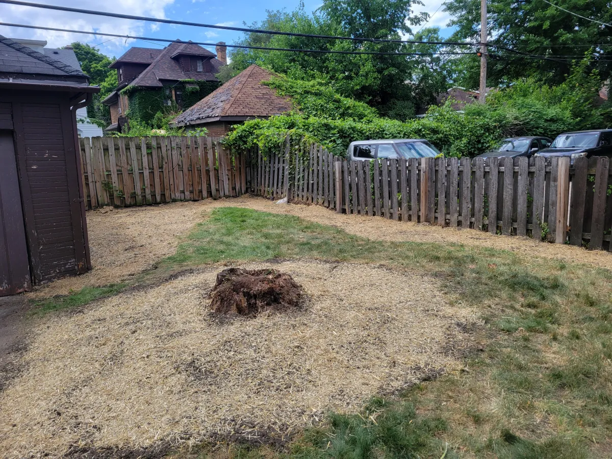 After Landscaping Removal on a yard in Detroit, MI that no longer has a big bush