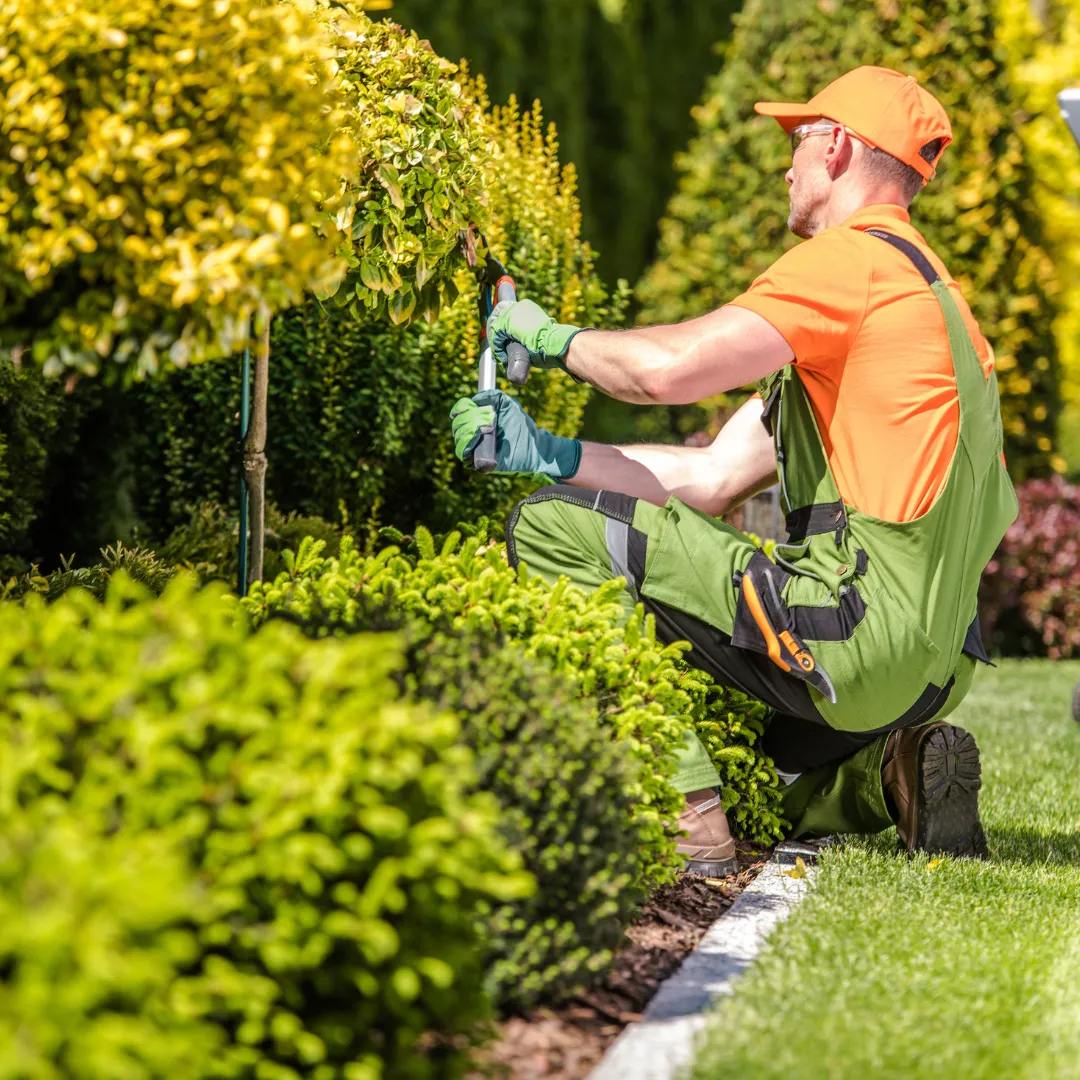 lawn care wareham ma, landscaping wareham ma, lawn mowing middleboro ma, landscaper marion ma, landscape design marion ma, mulch installation fairhaven ma, yard cleanup mattapoisett ma, lawn maintenance dartmouth ma, landscaping new bedford ma, paver patio installation plymouth ma, retaining wall fall river ma, landscape company southeastern ma, lawn care near me, landscaping near me, hardscaping wareham ma, drainage solutions marion ma, mulching services rochester ma, spring and fall cleanups ma, residential landscaping ma, commercial landscaping ma