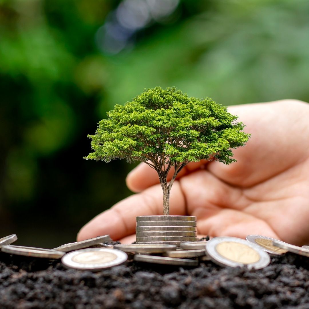 Money Clarity Quiz from Antrim Financial Coaching