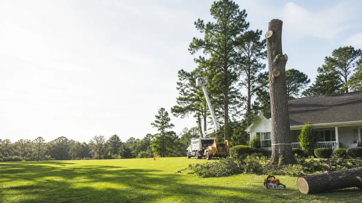 Tree removal crew using bucket truck and equipment in a residential yard for Hawthorne Tree Service.