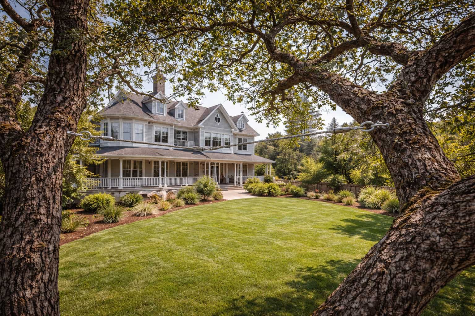 Tree cabling and bracing system installed between mature trees to support structure in a residential yard by Hawthorne Tree Service.