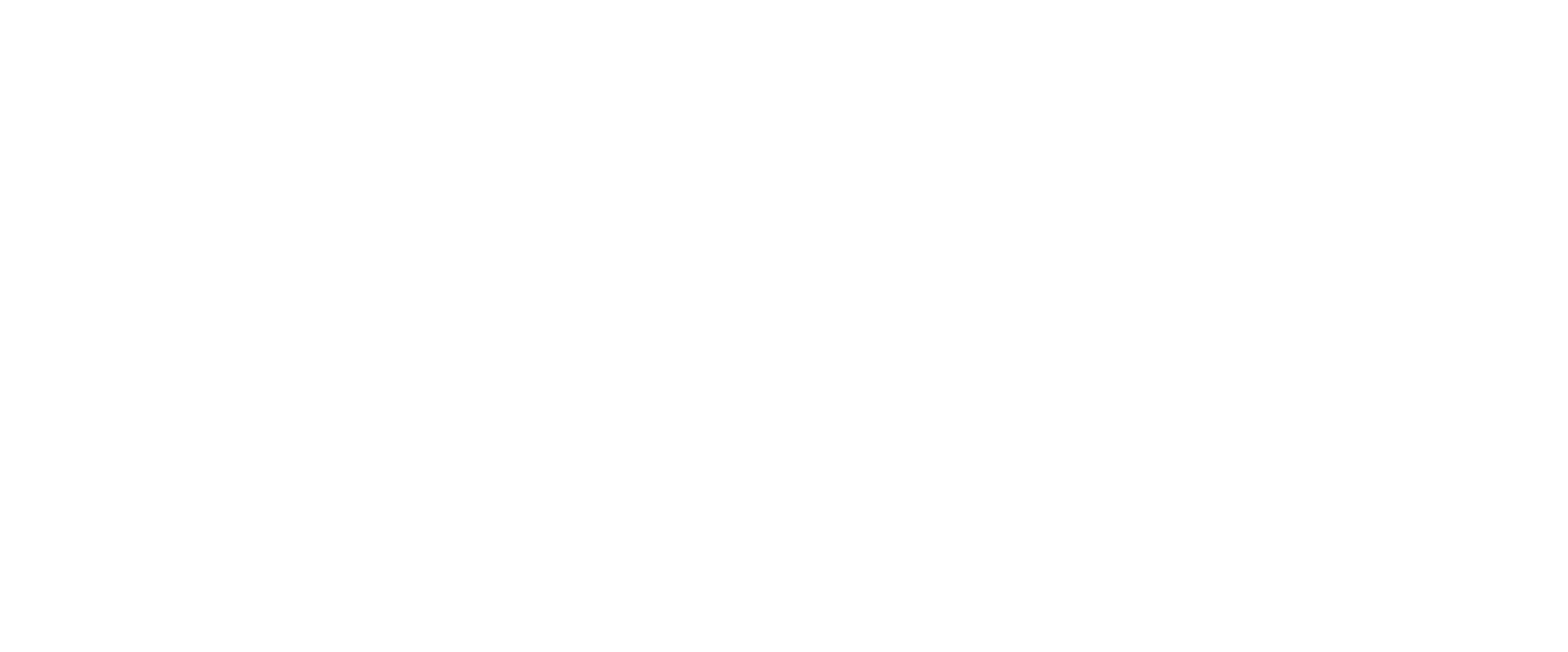 GraphicMinds