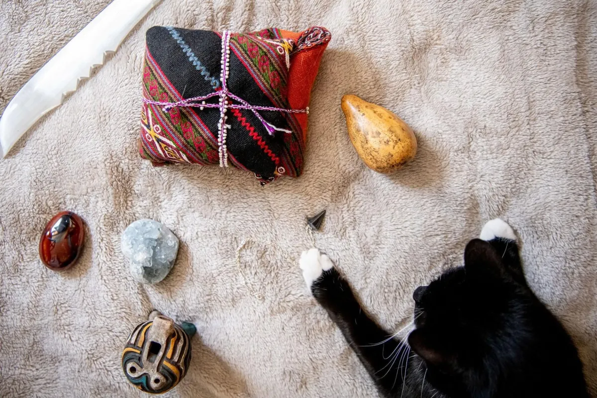 Cat resting with crystals, mesa, and healing tools—embodying the peaceful energy of Animal Reiki, spiritual connection, and the Let Animals Lead® method.