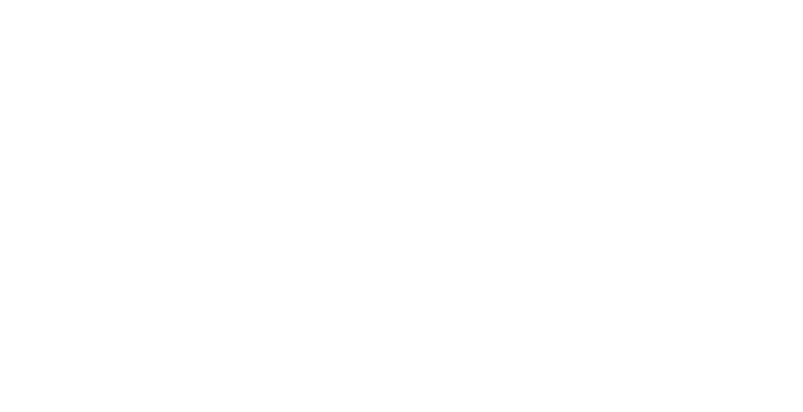 Flowwise Consulting Logo