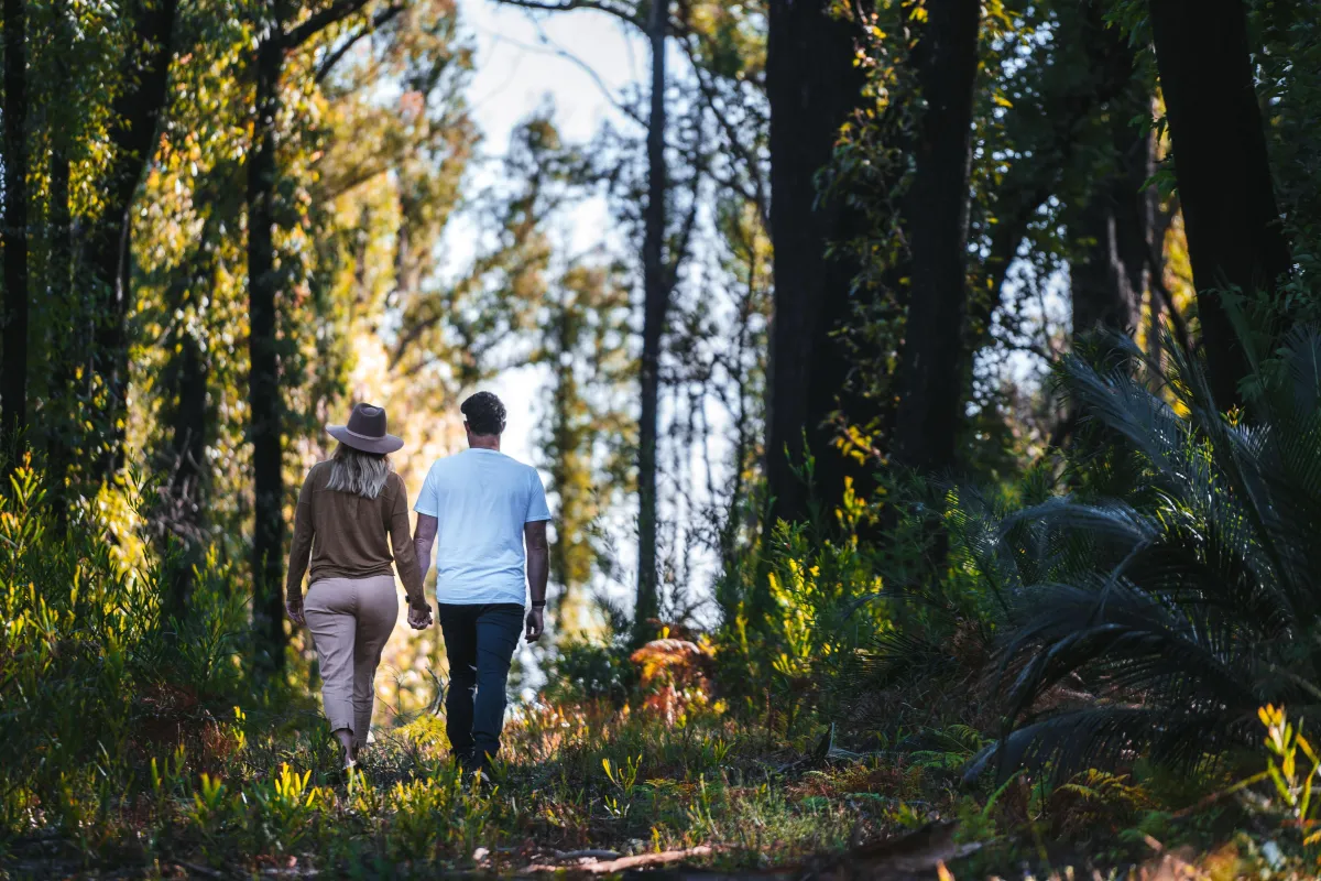Bower Wellness Retreats