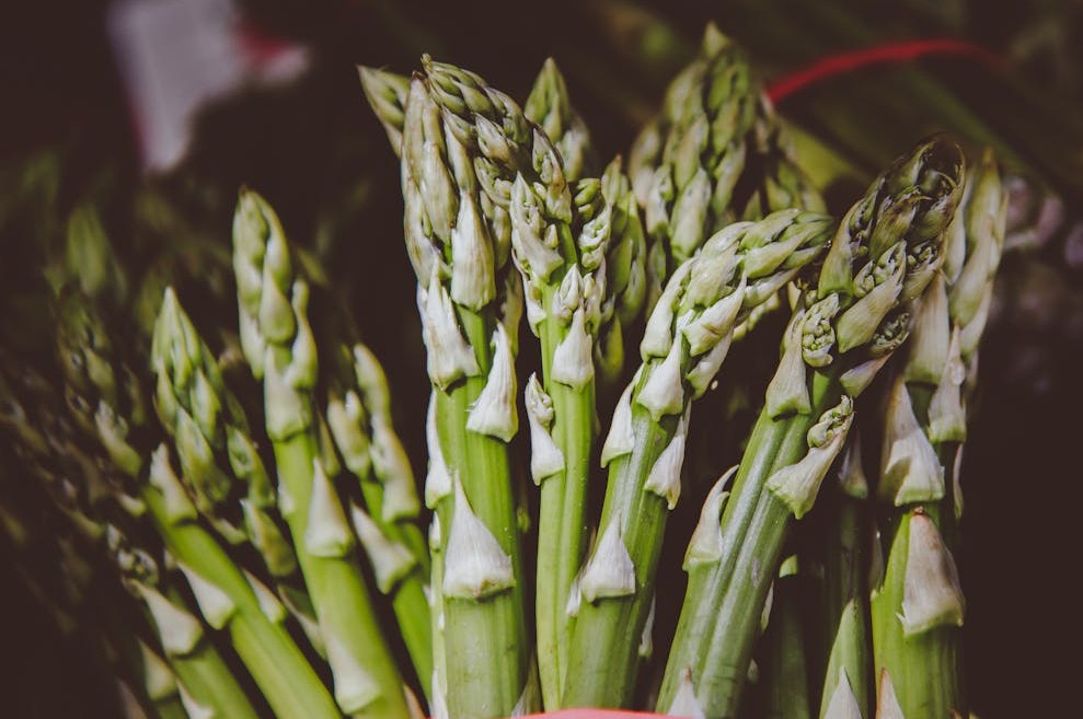The Best Edible Perennials for a Thriving Garden Year After Year