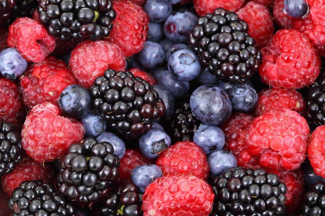 The Essential Guide to Growing Healthy Berry Bushes in Your Garden