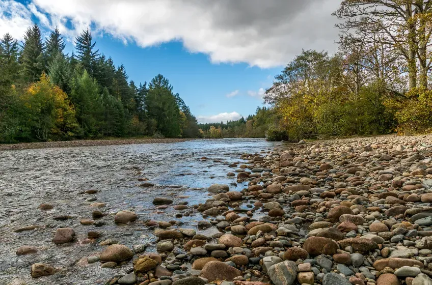 Aboyne BMW