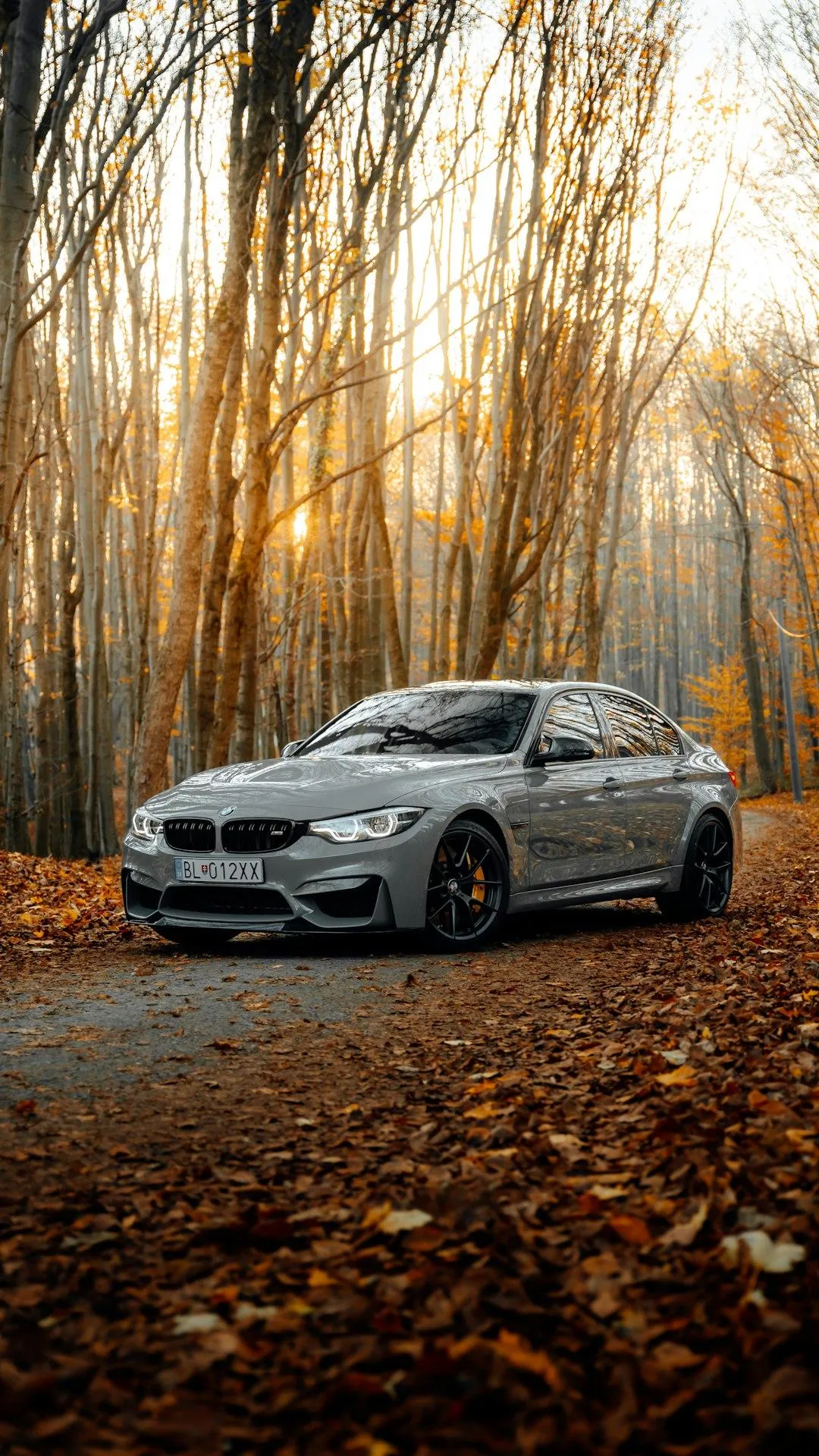 Cults BMW