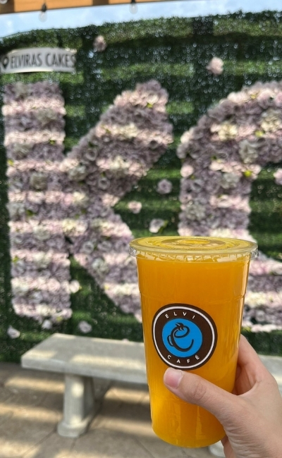 Layered tres leches cake slice with drizzle and garnish